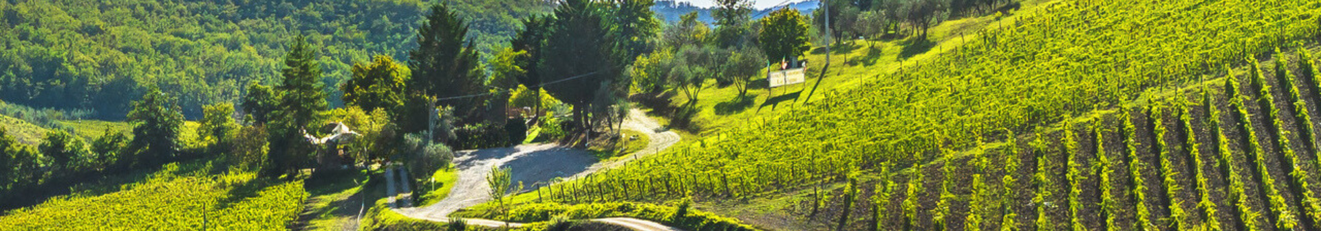Wines from the Toscane region