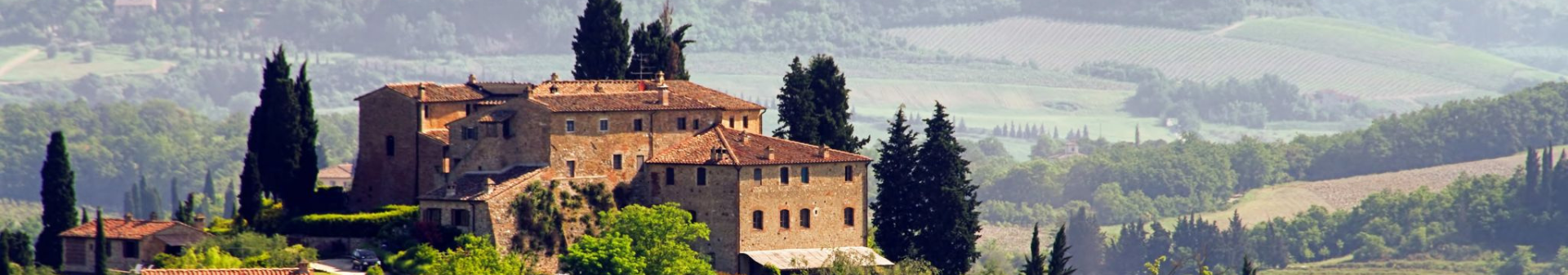 Italian wines