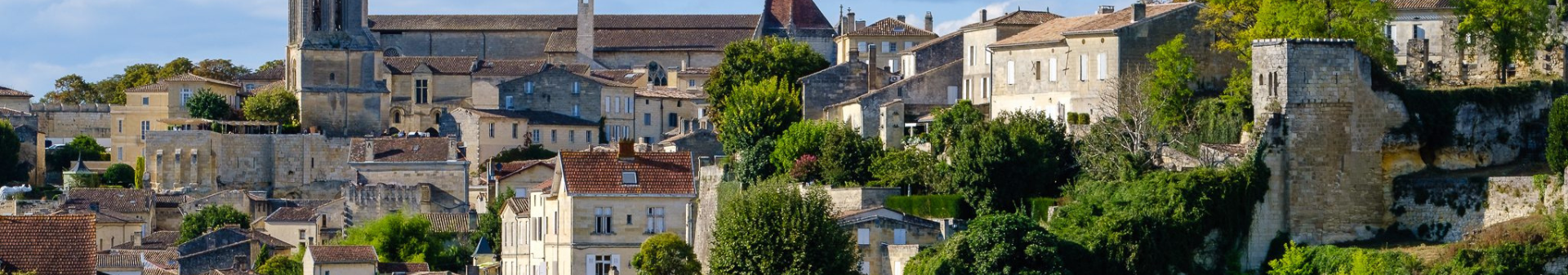 Saint Emilion Appellation Wine