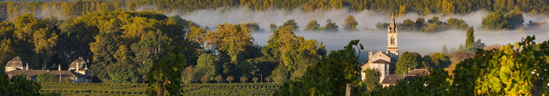 Saint-Estèphe wine appellation