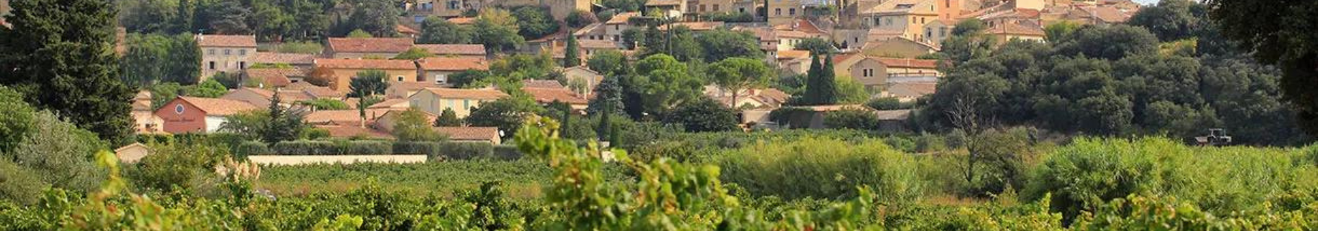 Châteauneuf du Pape Appellation Wine