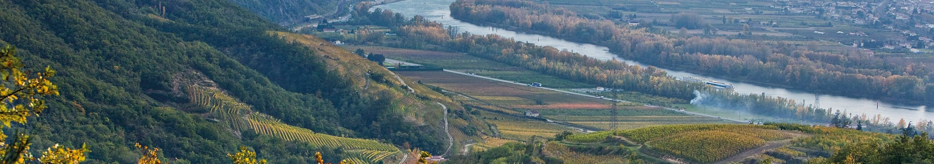Crozes Hermitage appellation wine
