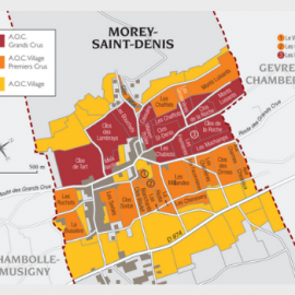 Morey Saint Denis appellation wine