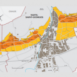 Nuits Saint Georges appellation wine