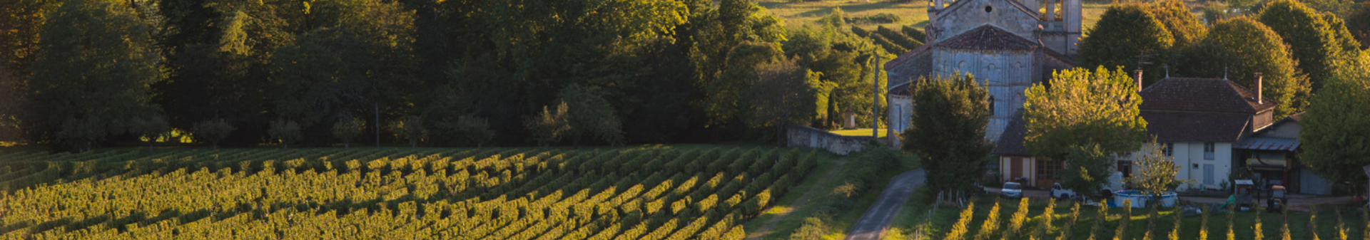Sauternes appellation wine