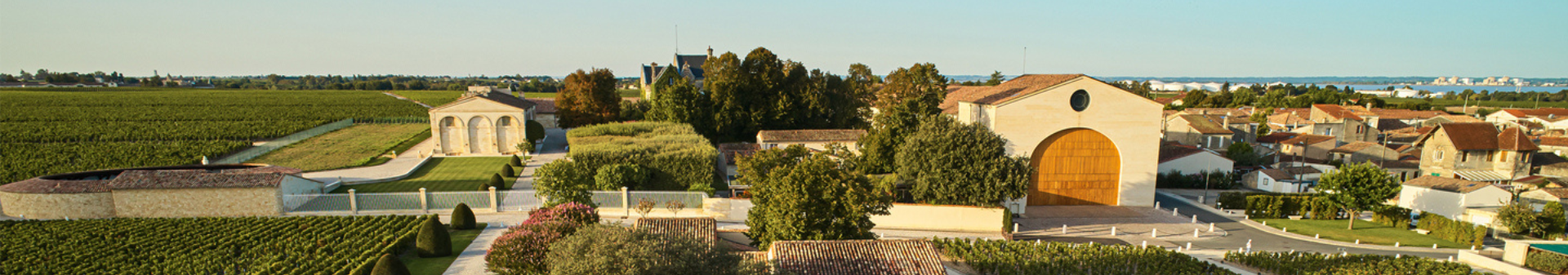 Château Mouton Rothschild - Buy online