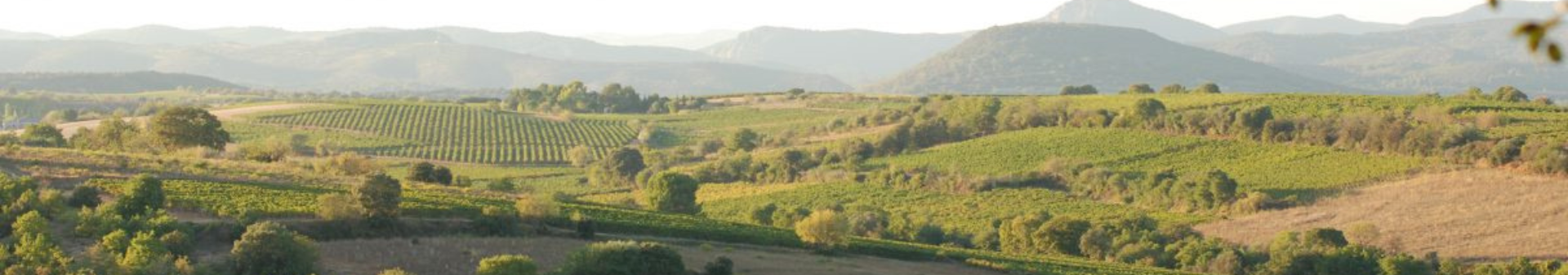 Domaine les Aurelles