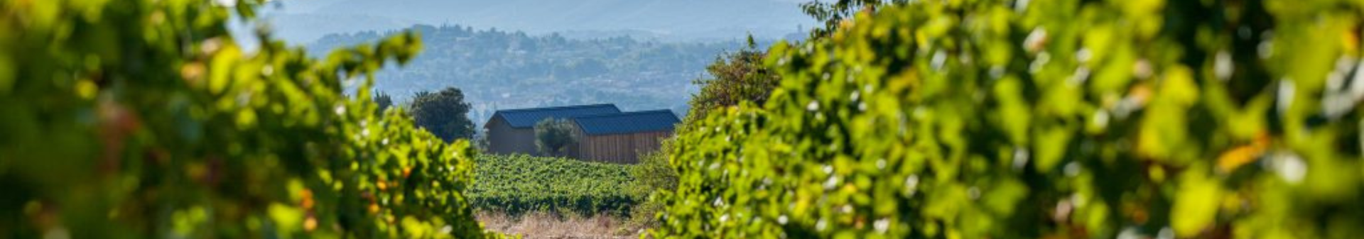 Domaine Alain Chabanon