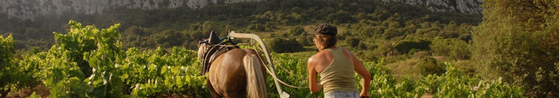 Clos Des Fées