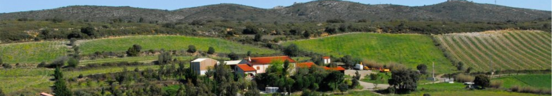 Domaine Gauby