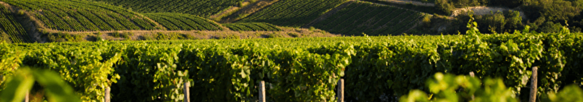 Chablis Appellation