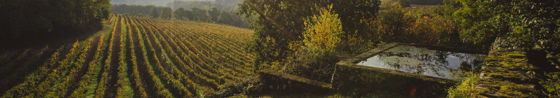 Armagnac vintage