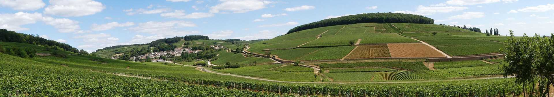 Domaine Henri Bonneau