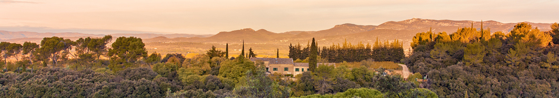 Mas de Daumas Gassac