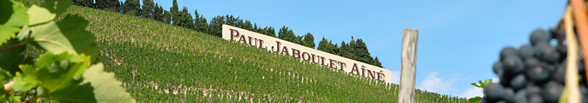 Domaine Paul Jaboulet Aîné