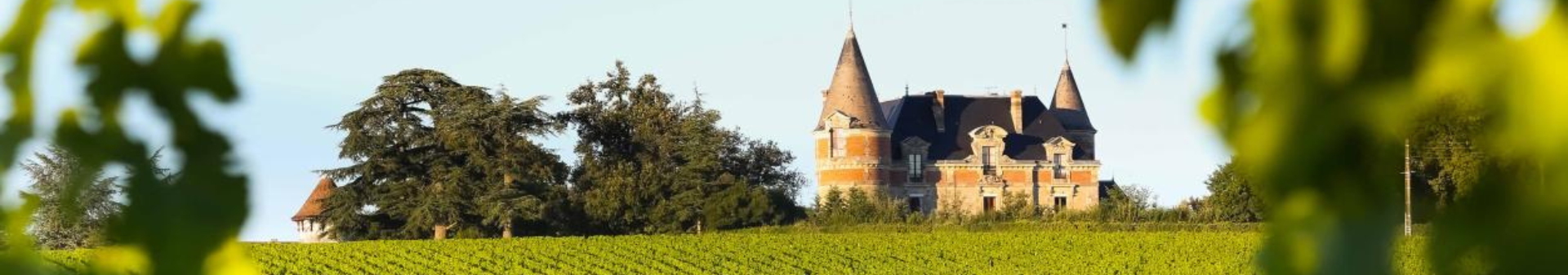 Château De Rayne Vigneau