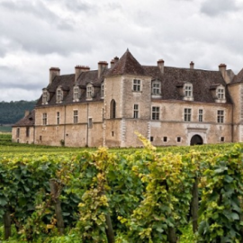 Clos de Vougeot Appellation Wine