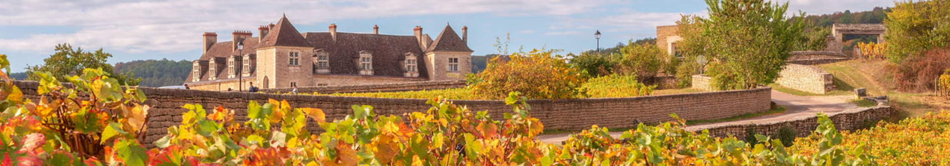 Clos de Vougeot Appellation Wine