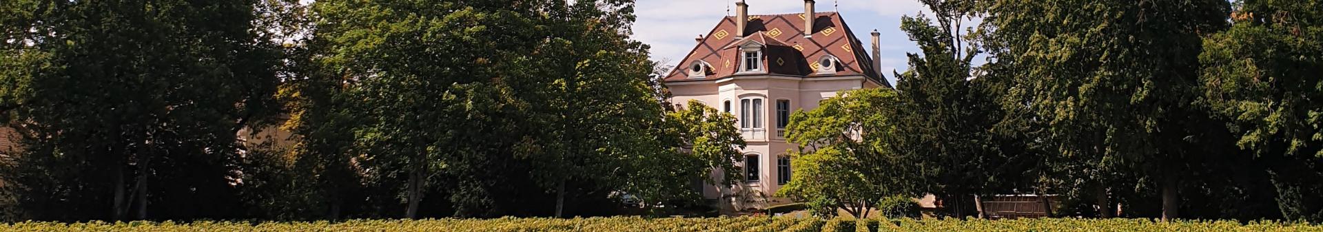 Domaine des Comtes Lafon