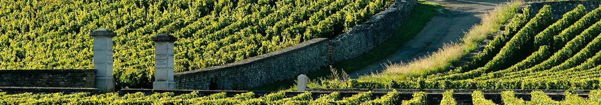 Domaine Leflaive
