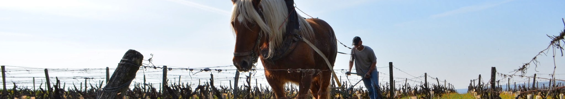 Domaine Huet