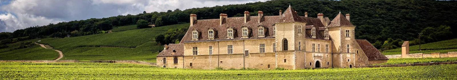 Domaine Méo Camuzet