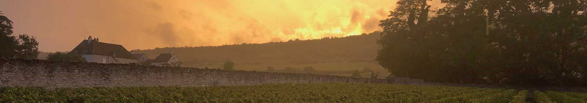 Domaine Dujac