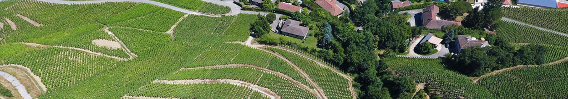 Domaine Jean Michel Gerin