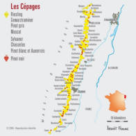 Riesling appellation wine