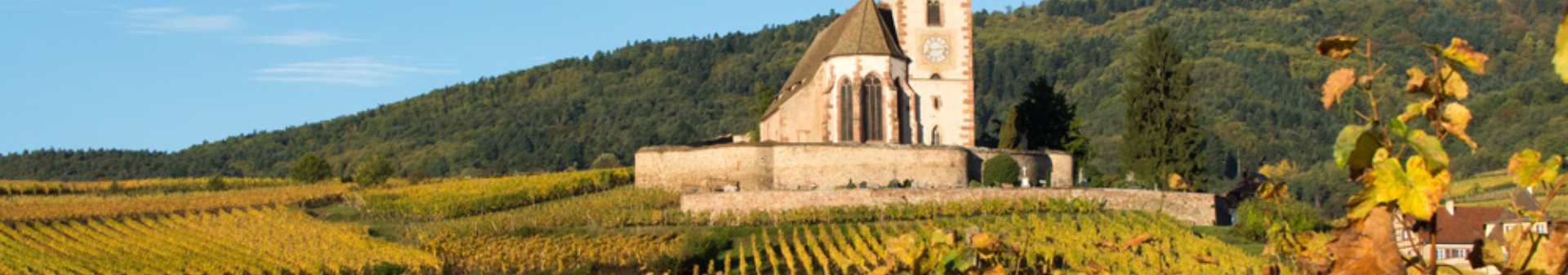 Riesling appellation wine