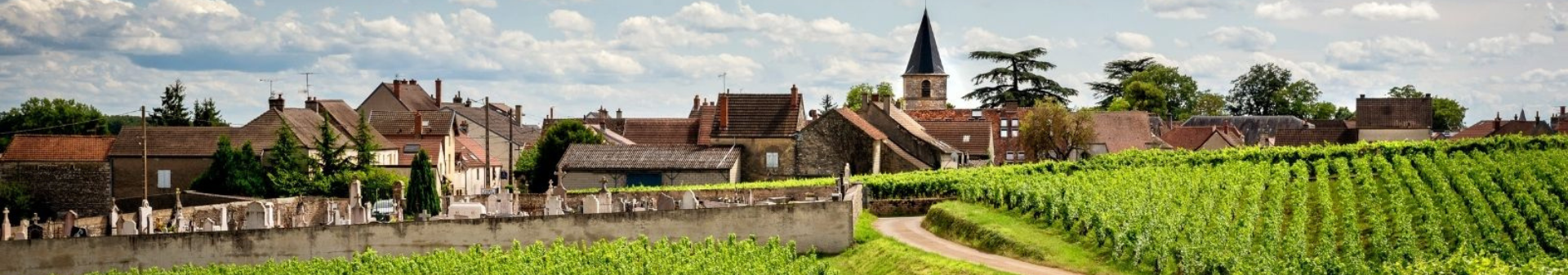 Domaine Arnoux Lachaux