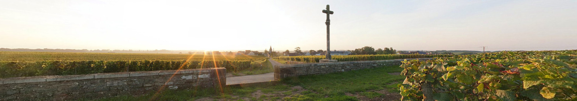 Romanée Conti appellation wine