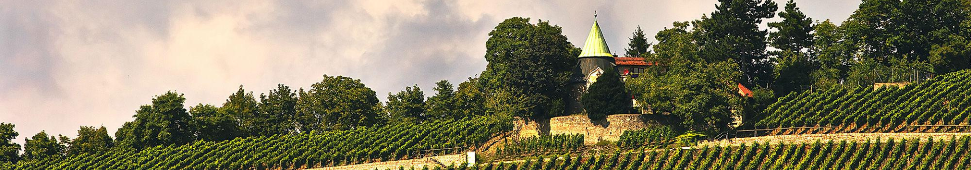 Georges Roumier Estate