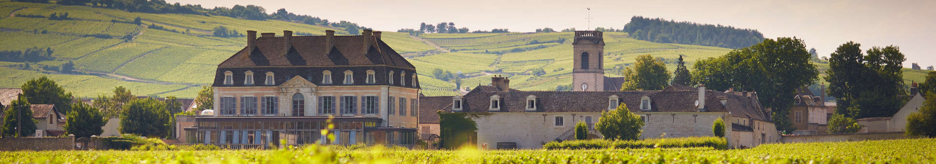 Château De Pommard
