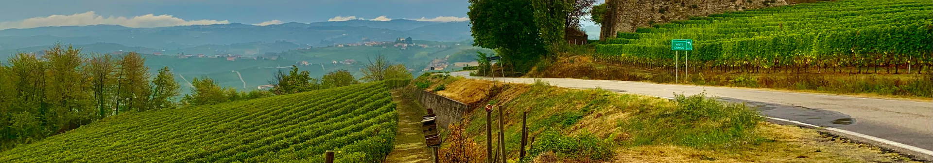 Wines from the Barbaresco region