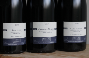 Domaine Anne Gros