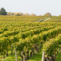 Médoc Fourth Growth