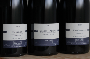 Domaine Anne Gros