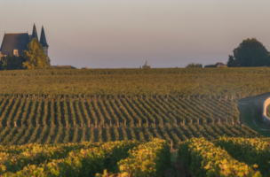 Appellation Pauillac