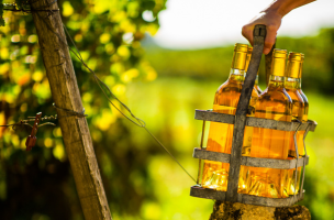 Sauternes Appellation