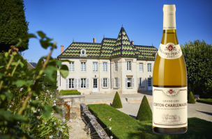 Corton Charlemagne 2007