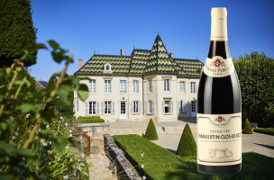 Clos de Bèze 2009