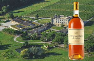 CHÂTEAU DE FARGUES 2007