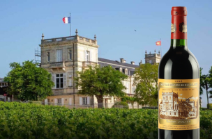 CHÂTEAU DUCRU BEAUCAILLOU 1996