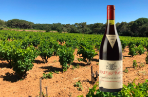 CHATEAU RAYAS 1988