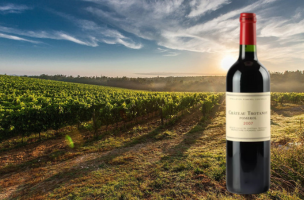 CHATEAU TROTANOY 2007