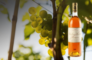CHÂTEAU GILETTE Crème de tête 1967