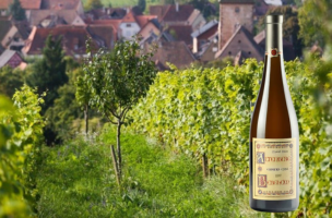 DOMAINE MARCEL DEISS 2017