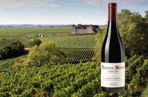DOMAINE GEORGES ROUMIER 2016