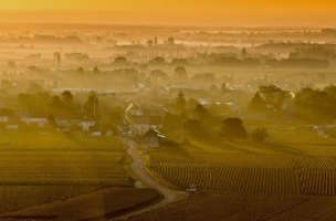 DOMAINE LEFLAIVE